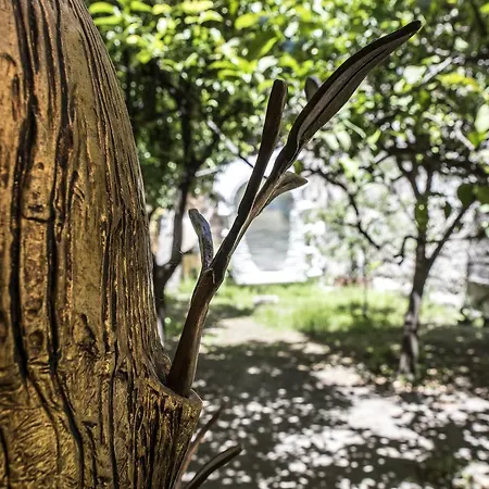 לינה וארוחת בוקר Atelier Ines Arts & 4*